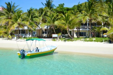 Apartment With a King Bed