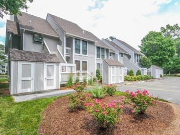 Natural Beauty Condo