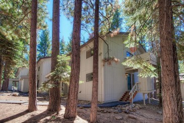 Pet-Friendly! At Lake Tahoe Accommodations