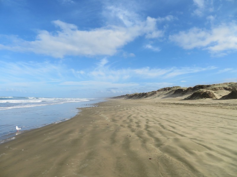 Ninety Mile Beach