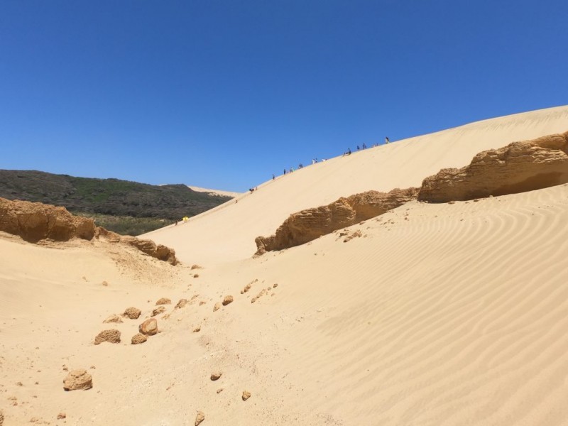 Giant Sand Dunes