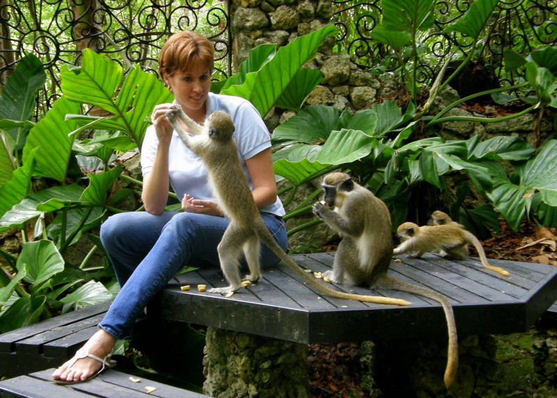 Barbados Wildlife Reserve