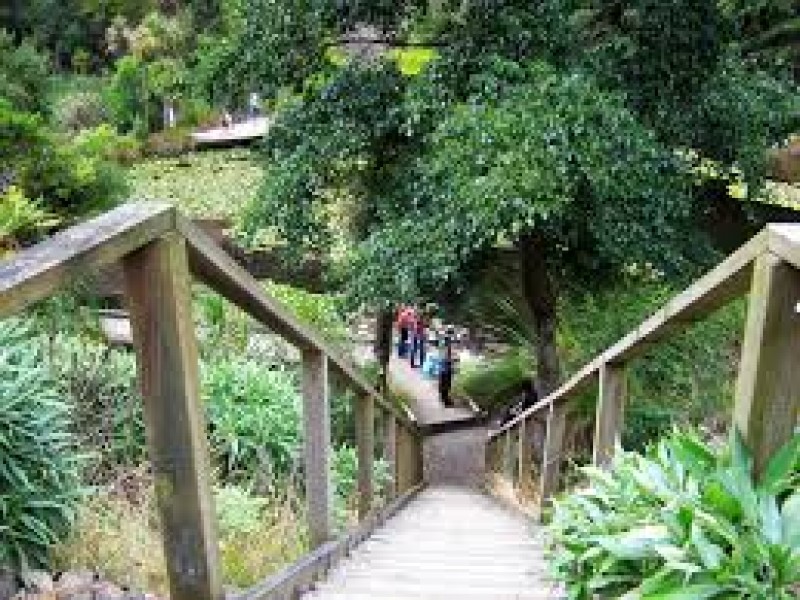 The Sculpture Park at Waitakaruru Arboretum