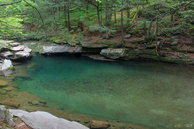 Swim at Peekamoose Blue Hole