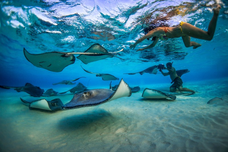 Stingray City