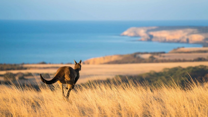 Kangaroo Island