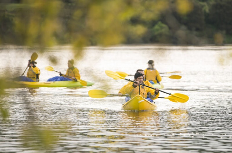Daytime Canyon Kayak Tour