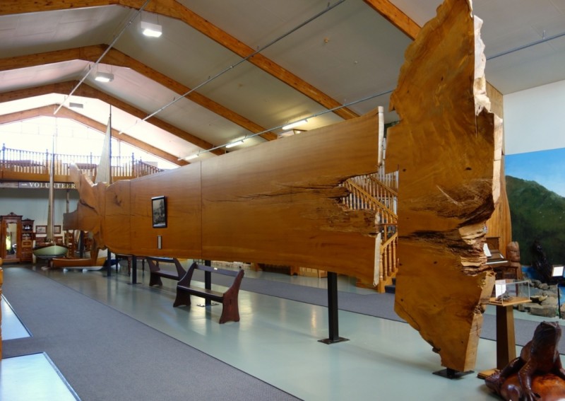 The Kauri Museum
