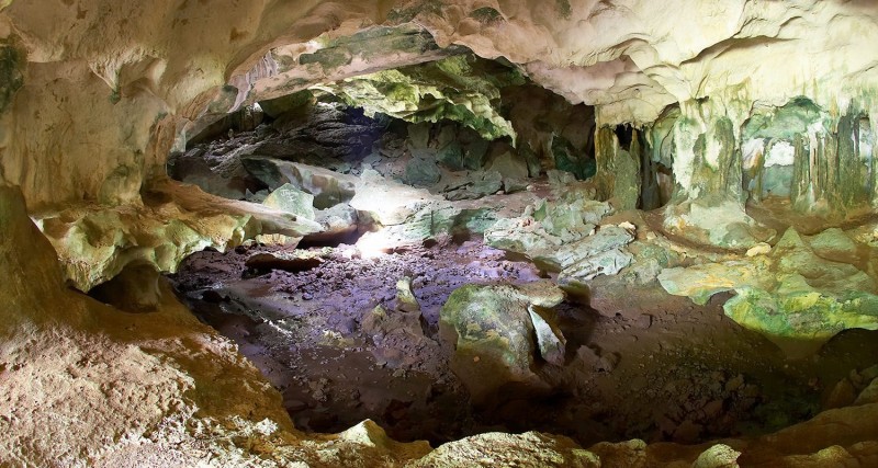 Conch Bar Caves National Park