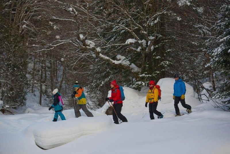 Snowshoeing Tour