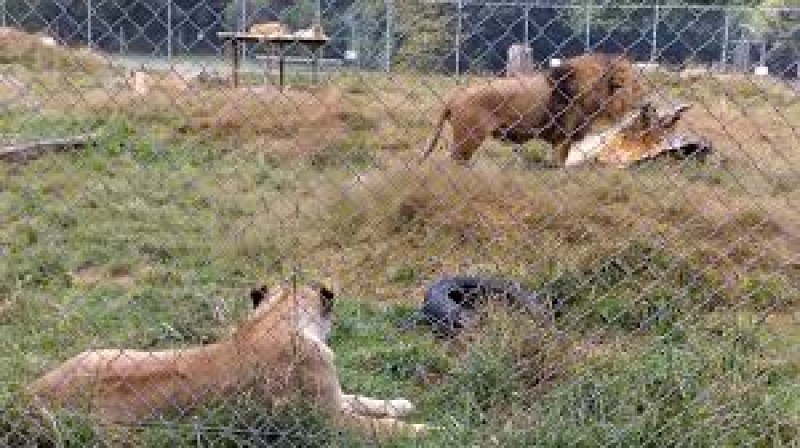 Paradise Valley Springs