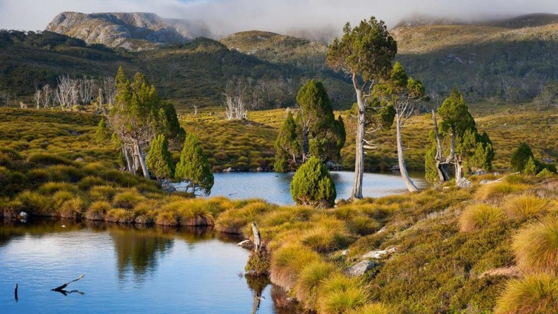 Cradle Mountain-Lake St. Clair National Park