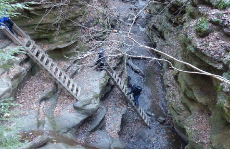 Five Mile Challenge, Turkey Run State Park