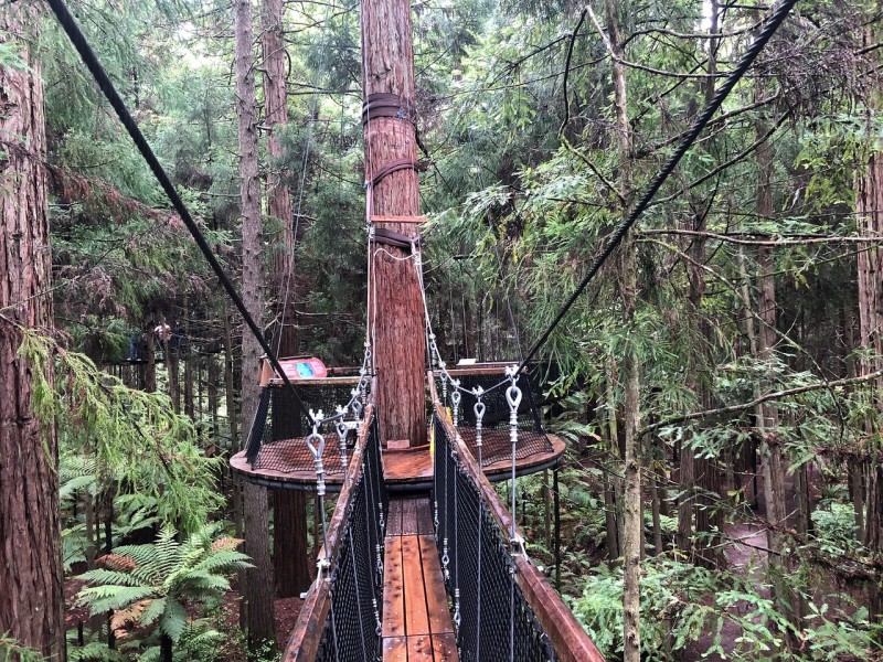 Redwoods – Whakarewarewa Forest