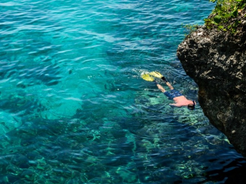 Snorkeling Off Of Rockhouse Beach
