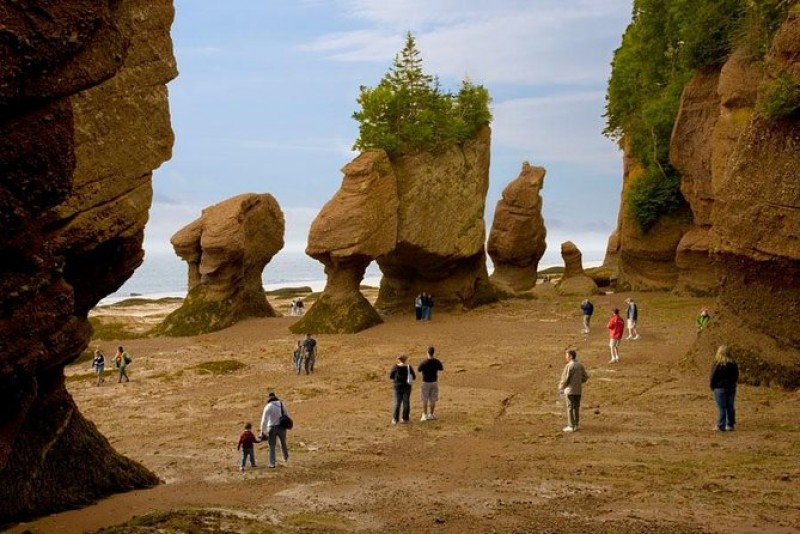 Hopewell Rocks Admission