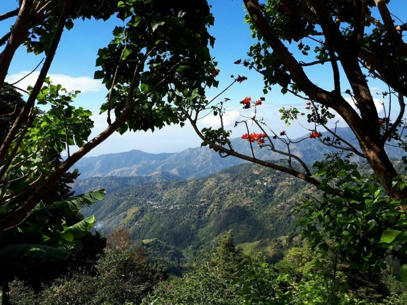 Hiking In The Blue Mountains