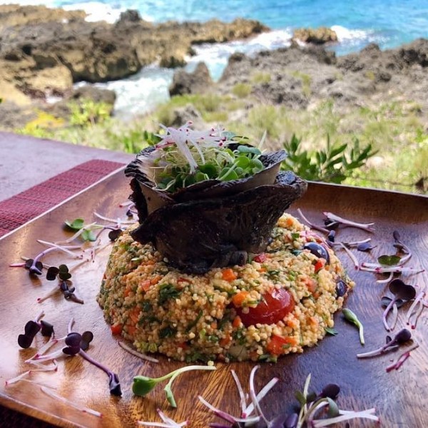 VIVO Cafe Restaurant