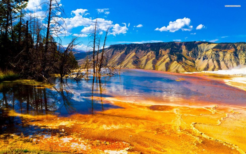 Yellowstone National Park